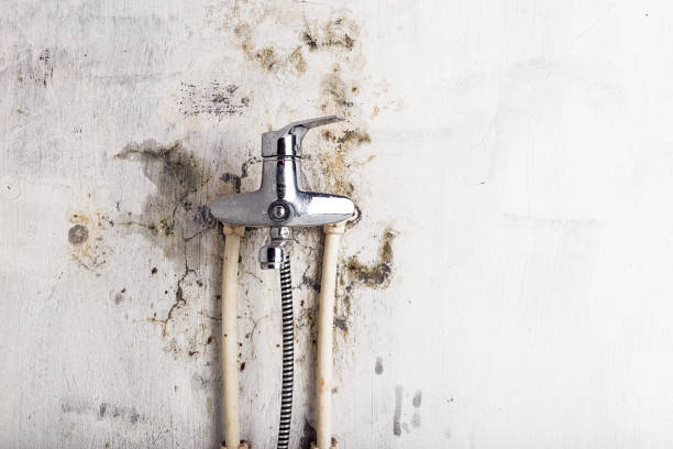 Best Mold Testing  in Iraan, TX