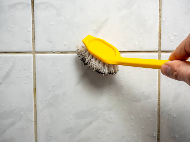 Best Mold Remediation  in Iraan, TX