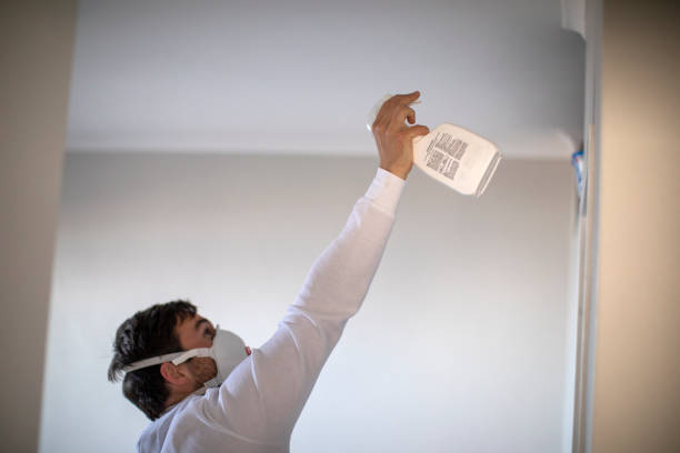 Iraan, TX Mold Removal Company
