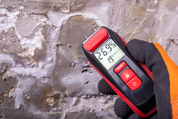 Best Mold Testing  in Iraan, TX